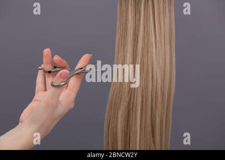 Wig and scissors - bright black wig - hairstyle background Stock Photo -  Alamy