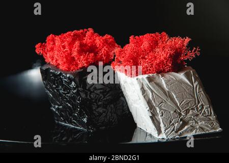 claret moss in a black and white concrete pots Stock Photo