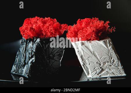 claret moss in a black and white concrete pots Stock Photo