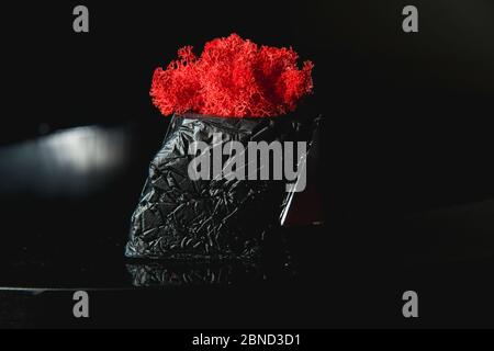 claret moss in a black concrete pot Stock Photo