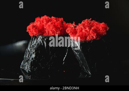 claret moss in a black concrete pot Stock Photo
