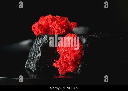 claret moss in a black concrete pot Stock Photo