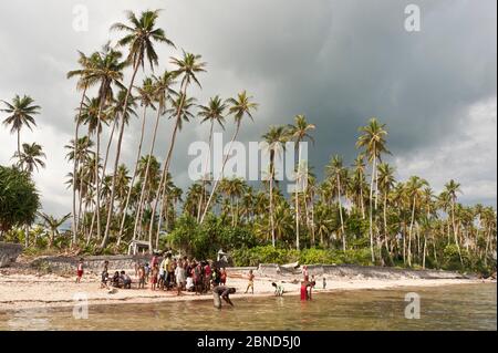 Oheidertutu community on beach to watch slaughter of Leatherback turtle (Dermochelys coriacea) after traditional hunt, Kei Islands, Maluku / Moluccas, Stock Photo