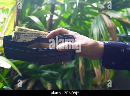 Man holding his vallet, one dollar on the plant background.. Stock Photo