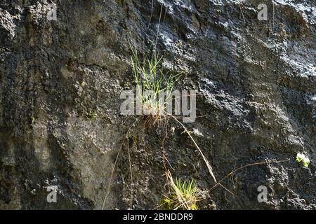 Artfully built walls with natural stone Stock Photo