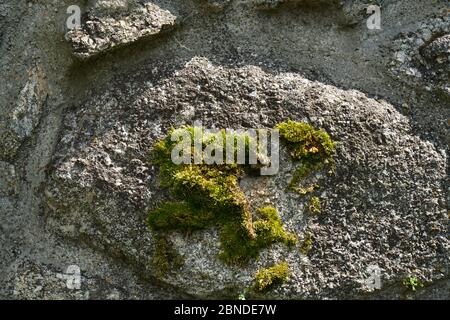 Artfully built walls with natural stone Stock Photo