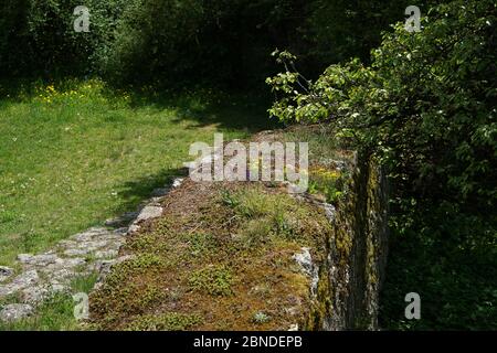 Artfully built walls with natural stone Stock Photo