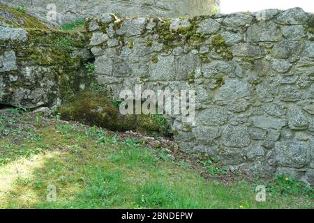 Artfully built walls with natural stone Stock Photo