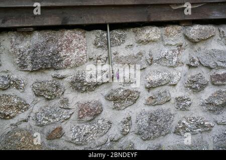 Artfully built walls with natural stone Stock Photo