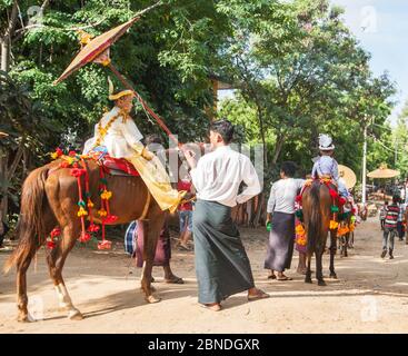 Bagan,Myanmar- October 31 2013;  Decorated white horse pulling cart  in Festival Procession, near Heritage Site in regoin. Stock Photo