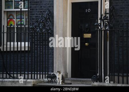 Larry the Downing Street Cat sits outside the door of 10 Downing Street, London, after the announcement of plans to bring the country out of lockdown. Stock Photo