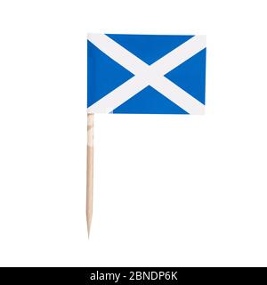 Miniature paper flag Scotland. Isolated Scottish toothpick flag pointer on white background. Stock Photo