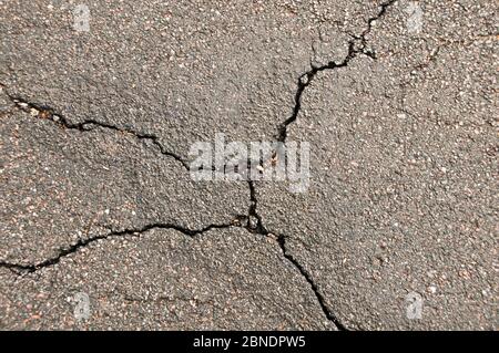 asphalt cracked Stock Photo