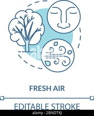 Fresh air turquoise concept icon Stock Vector