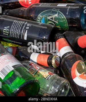 collection of empty beer bottles waiting for recycle collection. Stock Photo