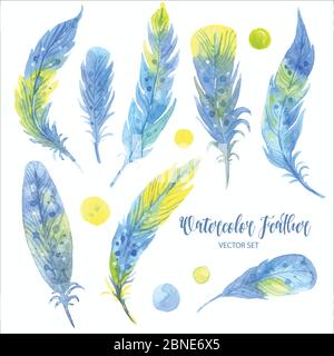 Watercolor blue feather set. Hand drawn vector illustration Stock ...