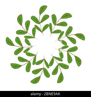 Frame of green twigs for highlights on a white background vector illustration. Summer or spring leaves. Round shape Stock Vector