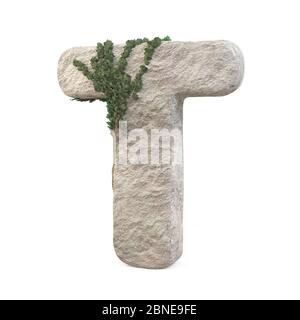 Realistic stone letters with ivy, isolated on a white background. 3d image Stock Photo