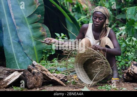 Baka woman weaving a basket from plant fibers, South East Cameroon, July 2008. Stock Photo