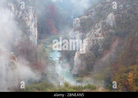 Misty limestone gorge, Plitvice Lakes National Park, Croatia. November. Stock Photo