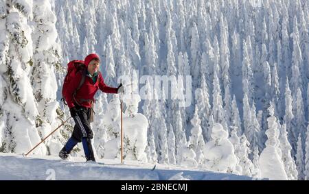 Cross country skier, Amabilis Mountain, Mount Baker-Snoqualmie National Forest, Washington, USA. December 2015. Model released. Stock Photo