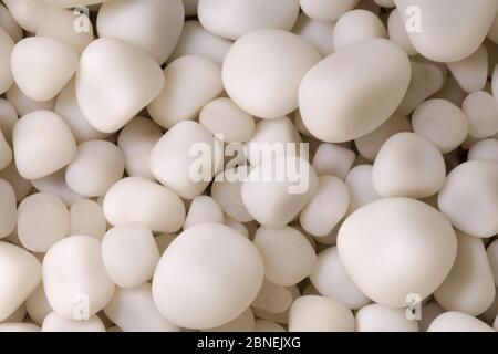 Cave Pearls, formed as dripping water rich in calcium salts deposits calcite around a small nucleus (often a sand grain). The constant movement of eac Stock Photo