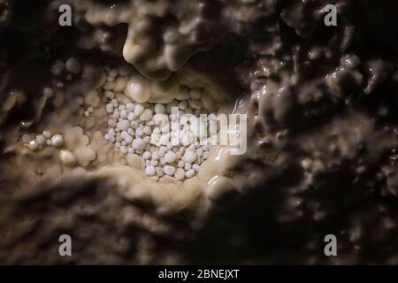 Cave Pearls, formed as dripping water rich in calcium salts deposits calcite around a small nucleus (often a sand grain). The constant movement of eac Stock Photo