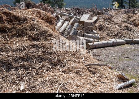 Wood yard waste at the Joseph solid waste transfer station in Wallowa County, Oregon. Stock Photo