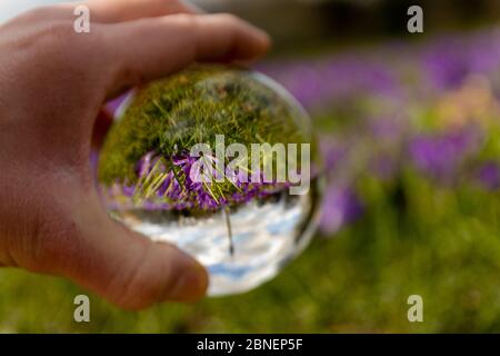 Selective focus shot of a human hand holding a glass sphere Stock Photo