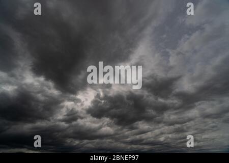 Storm is coming. Before heavy rain storm. On the sky is covered all over by the clouds. A lot of lightning and strong wind. The dark clouds is look Stock Photo
