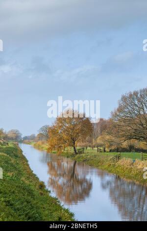 Tranquil scene along water channel at Avalon Marshes in the Somerset Levels, UK Stock Photo