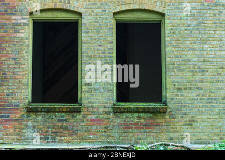 Full frame landscape of green brick wall and two window openings Stock Photo