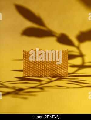 plaster of beeswax on yellow background with shadows of flowers Stock Photo