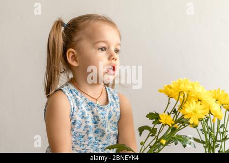 childhood, holidays, flowers, gifts concept - little cute three year old girl with two ponytails on her head in blue colorful dress holds large Stock Photo