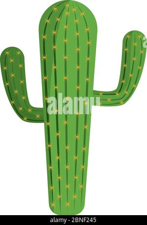 Isolated cactus icon Stock Vector