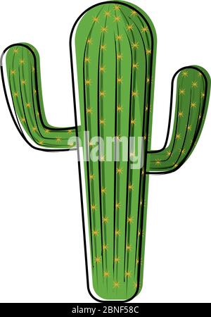 Isolated cactus icon Stock Vector
