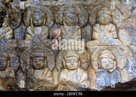 Carved stone Thousand Buddha stele