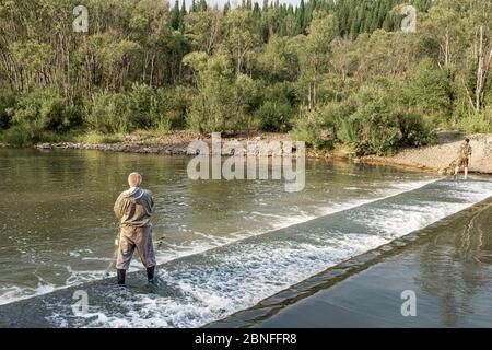 a fisherman stands in the water and pulls a fishing net with fish out of the water Stock Photo