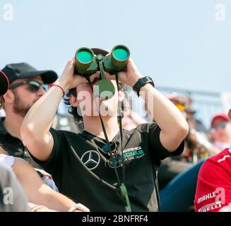 Motor sport spectator with binoculars Stock Photo