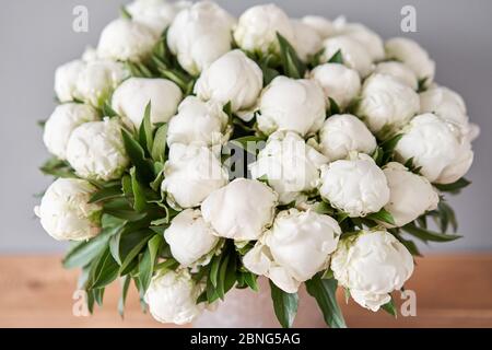 White Madame Claude Tain peonies in a metal vase. Beautiful peony flower for catalog or online store. Floral shop concept . Beautiful fresh cut Stock Photo
