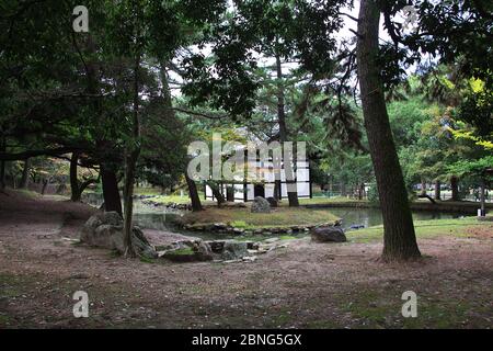 The nature in Nara Park, Japan Stock Photo