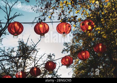 Low angle shot of paper lanterns hung between the trees under the blue sky Stock Photo