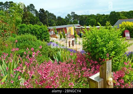 Entrance and visitor centre at Batsford Arboretum, Moreton-in-Marsh, Cotswolds, Gloucestershire, UK Stock Photo
