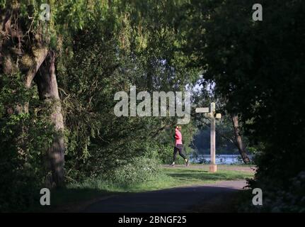 Peterborough, UK. 15th May 2020. Day Fifty Three of Lockdown, in Peterborough. A person out for a run on a lovely start to the day, ahead of what could be a warm weekend, as the sun shines at Nene Park, Peterborough. There is now a slight relaxing of lockdown in England as the message from the government is now 'stay alert' instead of 'stay at home'. Now you are able to play golf, go fishing, and garden centres can open too, but social distancing measures should be maintained. Credit: Paul Marriott/Alamy Live News Stock Photo