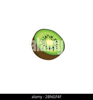 Whole kiwi fruit and his sliced segments isolated on white background cutout Stock Vector