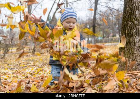 Cute little boy watches the fall of colorful, dry autumn leaves after being thrown up in city Park. Games with child in nature, in fresh air. Happy, c Stock Photo