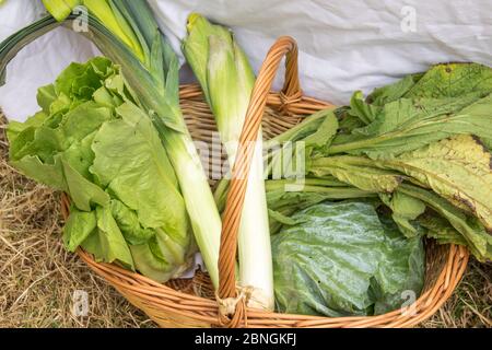 lettuce, leek and spinach. Wicker basket fresh vegetables Ingredients vegetarian meal Uncooked food Raw green vegetables in a basket background Stock Photo