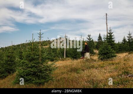 Young man runner sitting on stump in Sumava National Park and Bavarian Forest, Czech republic and Germany Stock Photo