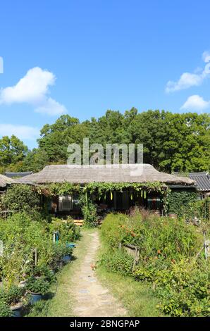 Korean traditional thatched house. Mooseom folk village, Youngju, South Korea Stock Photo