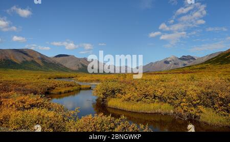 Tundra landscape with river, Sewards Peninsula, Nome, Alaska, USA, September 2015. Stock Photo